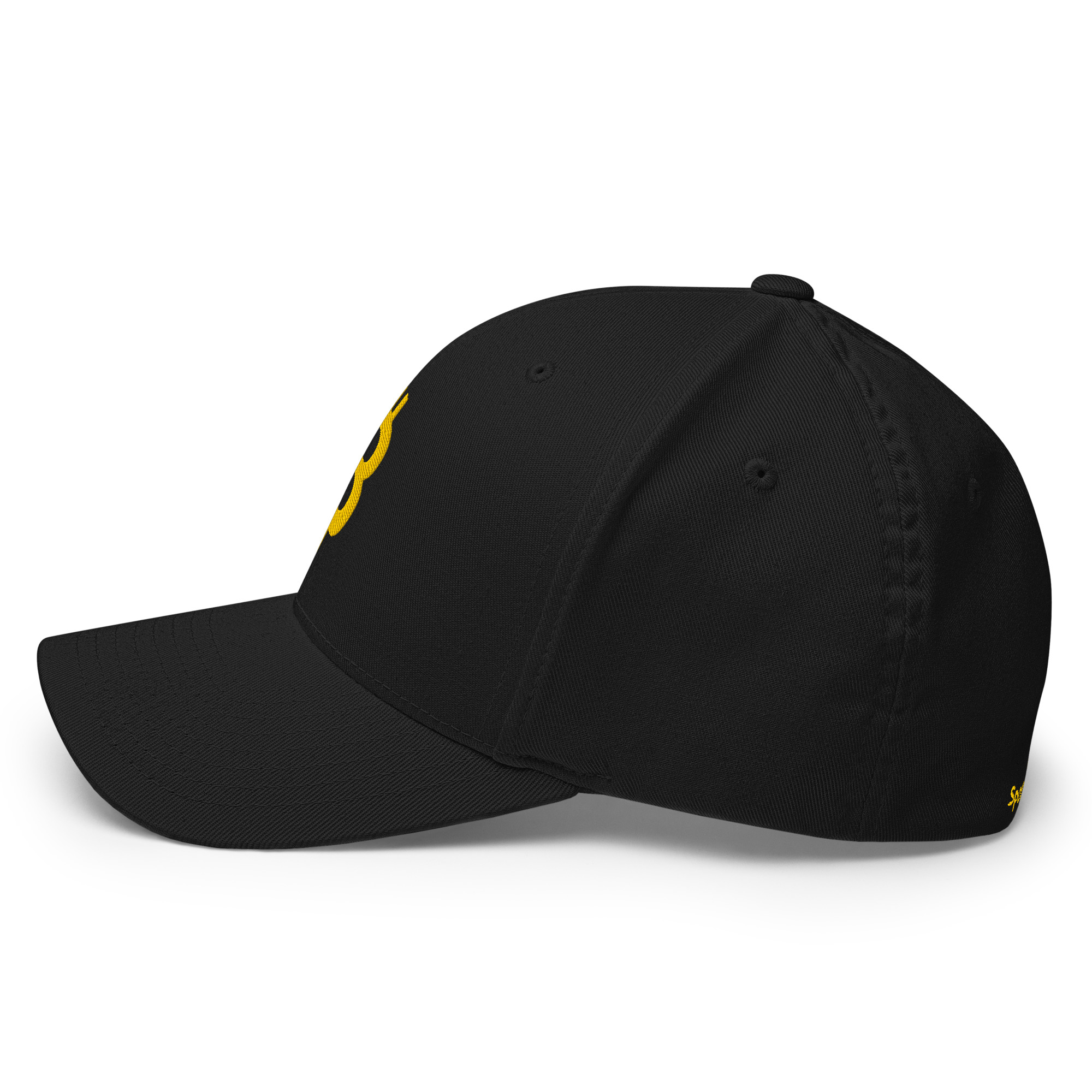 Structured Twill Cap "Bitcoin" SpotDogLife - Image 13