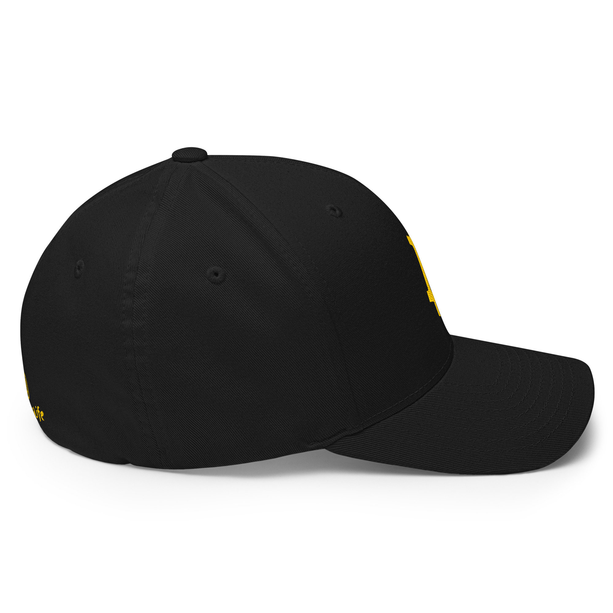 Structured Twill Cap "Bitcoin" SpotDogLife - Image 16