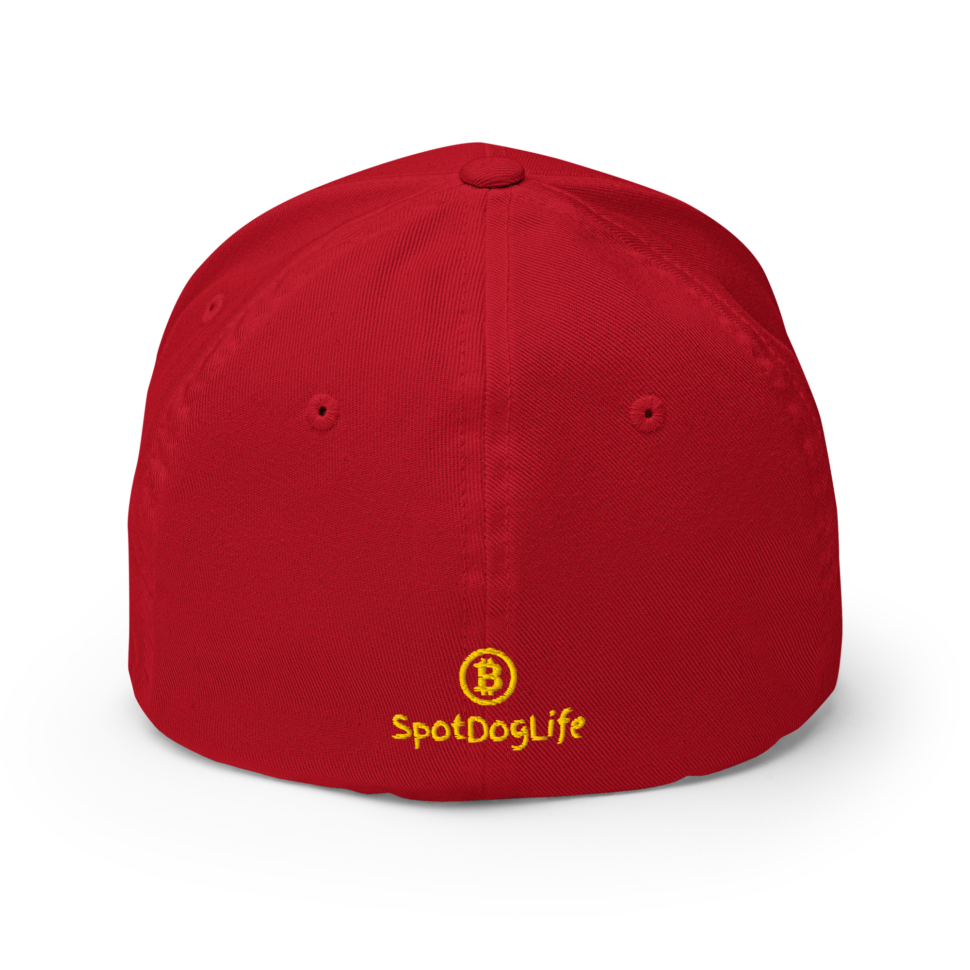 Structured Twill Cap "Bitcoin" SpotDogLife - Image 5
