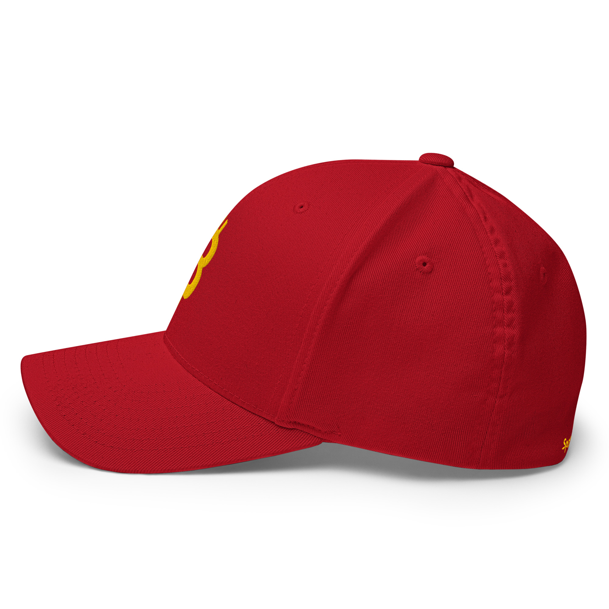 Structured Twill Cap "Bitcoin" SpotDogLife - Image 14
