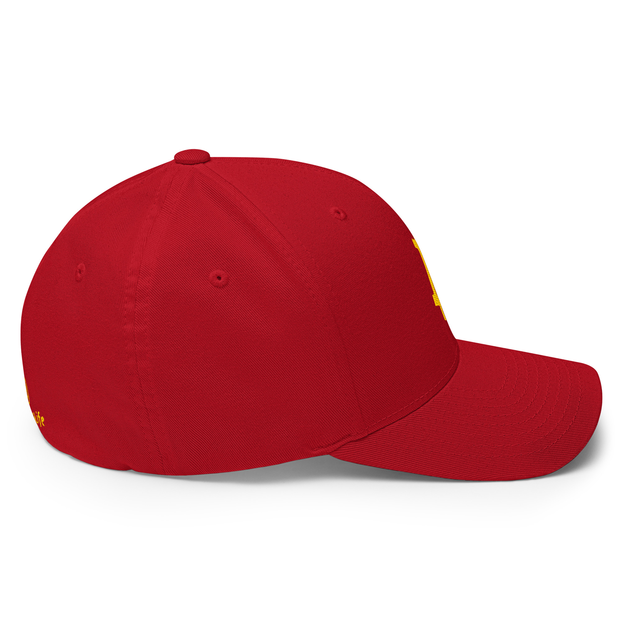 Structured Twill Cap "Bitcoin" SpotDogLife - Image 17