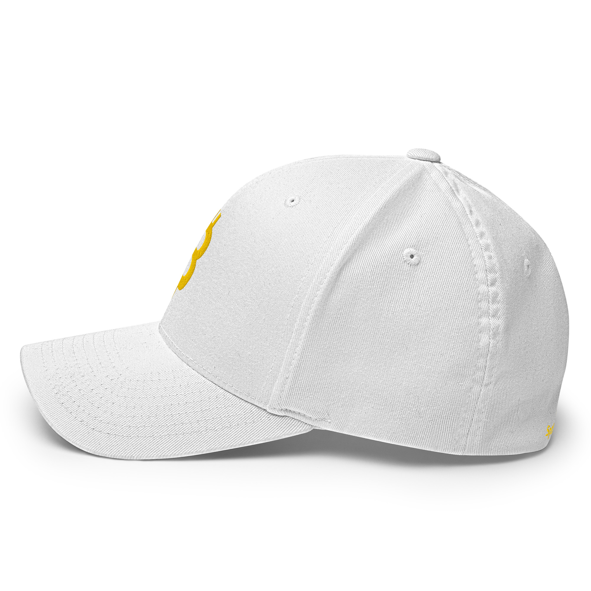 Structured Twill Cap "Bitcoin" SpotDogLife - Image 15