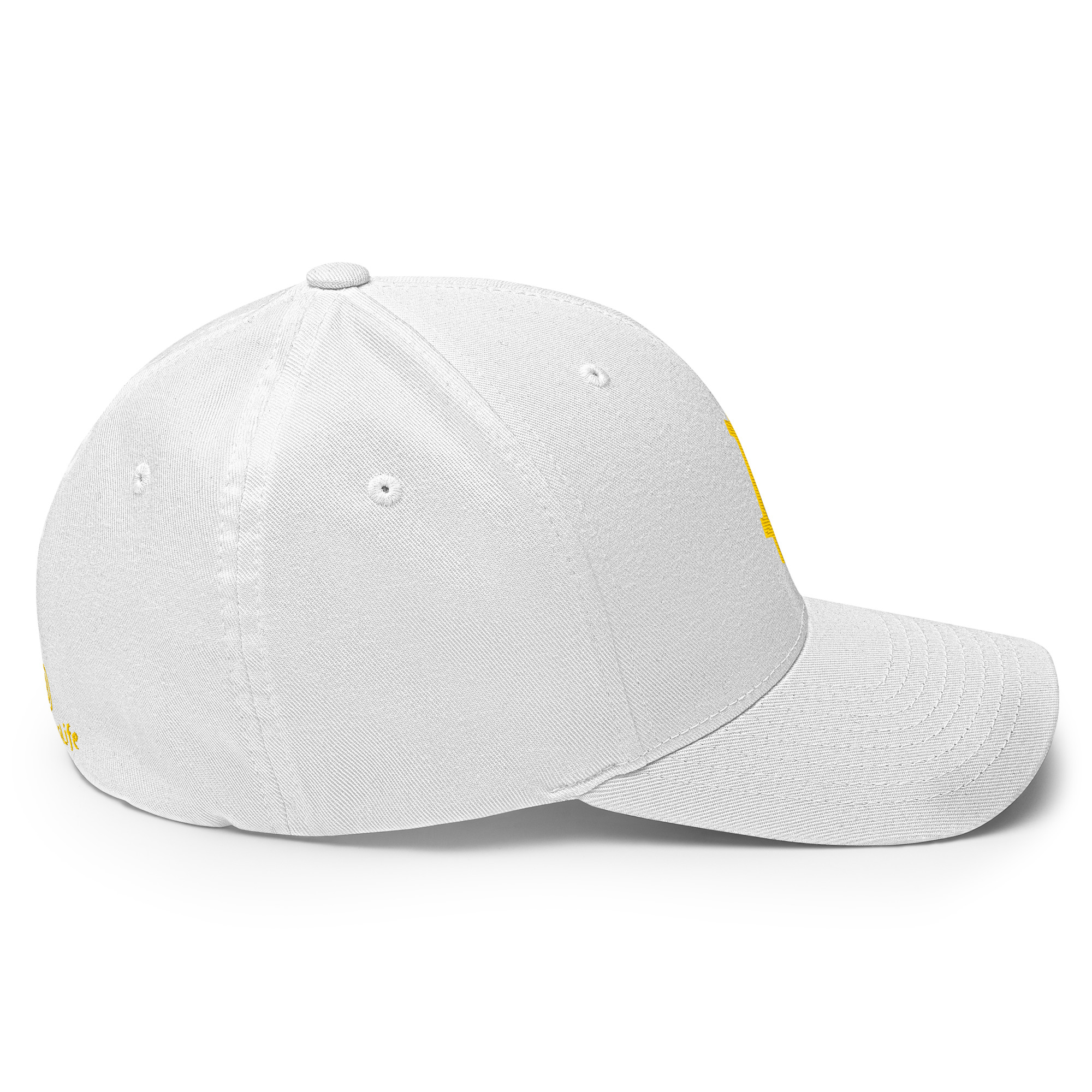 Structured Twill Cap "Bitcoin" SpotDogLife - Image 18